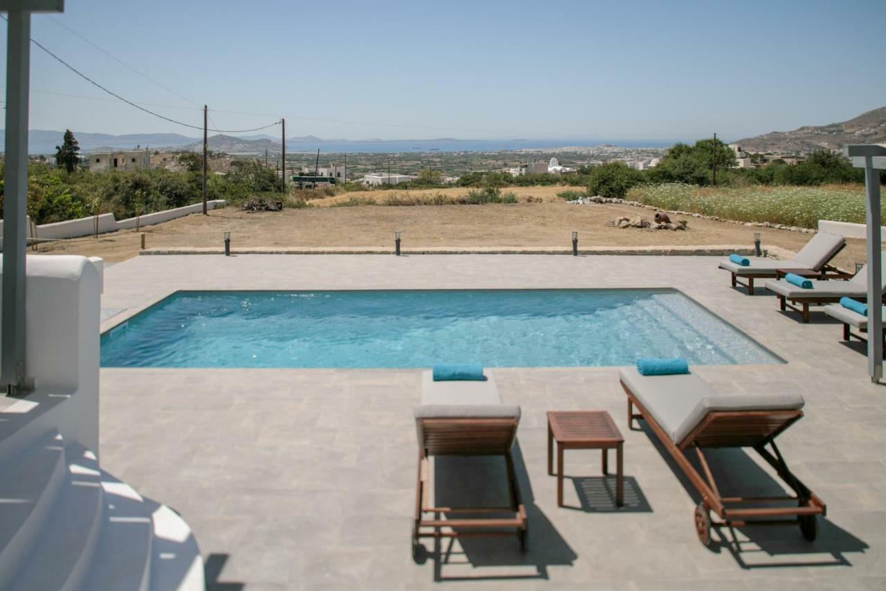 Naxos Infinity Villa And Suites Galanado Exterior foto